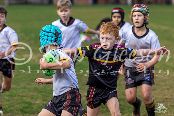 U8(2) R15 v U8(1)_26