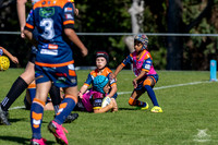 U10(1) R4 v Tigers_7