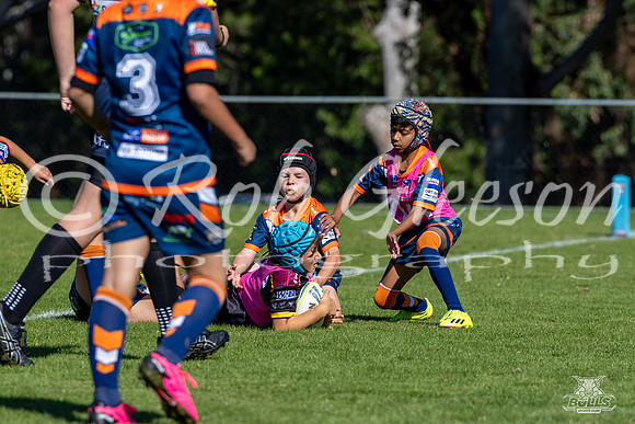 U10(1) R4 v Tigers_7