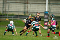 U10(2) R5 v Greystanes_11