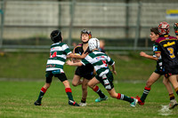 U10(2) R5 v Greystanes_10
