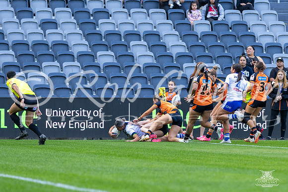 LFC - GF - Bulldogs v West Tigers_12