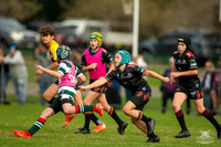 U10(2) R5 v Greystanes_8