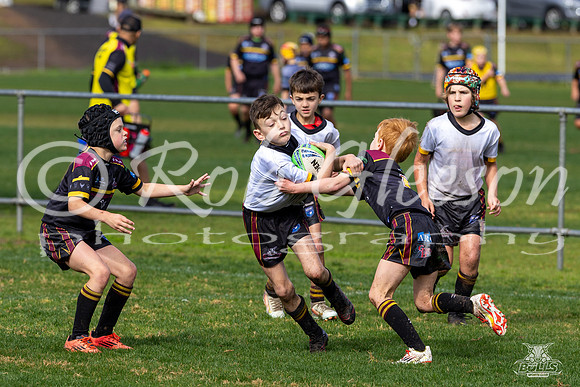 U8(2) R15 v U8(1)_15