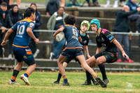 U14(3) R12 v Tigers_10