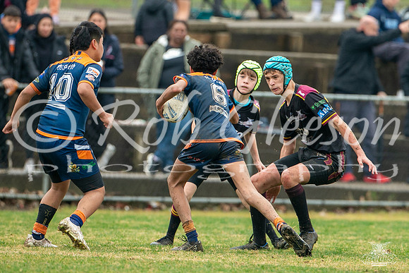 U14(3) R12 v Tigers_10