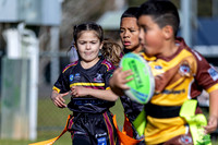 U6(3) R10 v Tigers_13