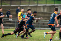 U14(3) R12 v Tigers_11