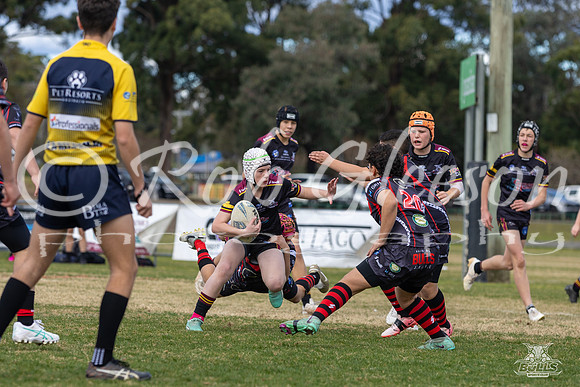 U13(1) R11 v Bankstown_8
