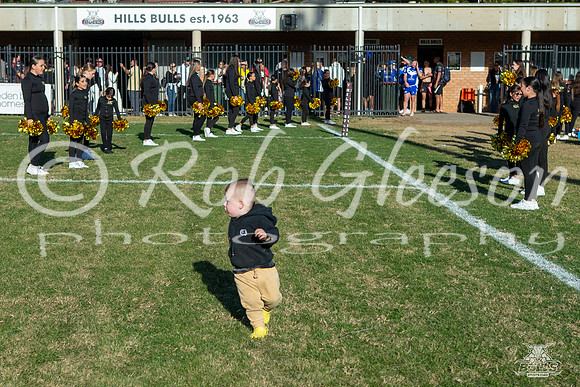 RMC R12 - Hills v Bulldogs_1
