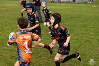 U7(3) R7 v AST Tigers_17