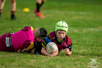 U11(1) R10 - Vs Guildford_013