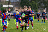U6(4) - R5 v Cobras_3