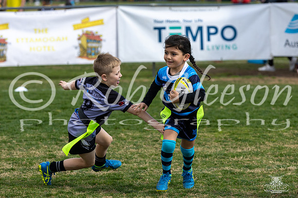 Gala Day_104