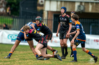 U14(3) R12 v Tigers_4