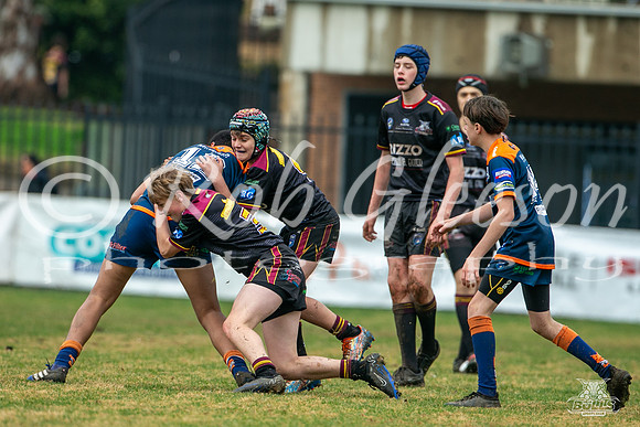 U14(3) R12 v Tigers_4