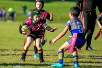 U6(2) R6 - Vs Parra Jnr Eels_011