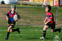 U6(1) R13 - v Kellyville_017