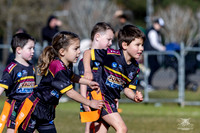U6(3) R10 v Tigers_7