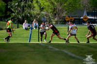 PC SF - Hills v Collegians_020