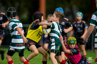 U10(2) R5 v Greystanes_7
