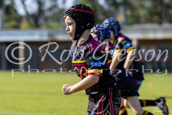 U8(3) R2 v Wenty_10