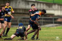 U14(3) R12 v Tigers_1