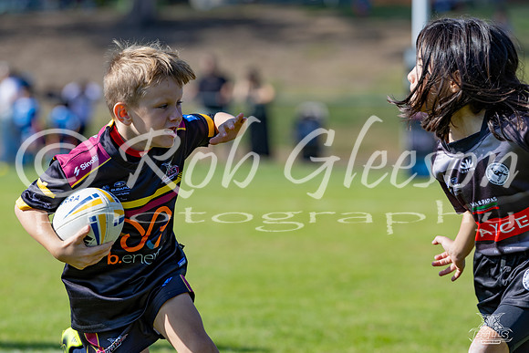 U8(3) R2 v Wenty_8