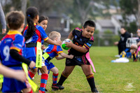 U6(4) - R5 v Cobras_9