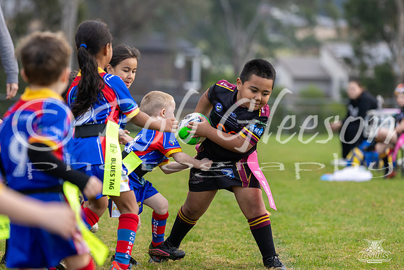 U6(4) - R5 v Cobras_9
