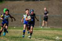 U10(1) - Senator Pools