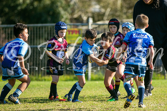 U7(2) R8 - Vs Cabramatta_001