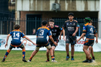 U14(3) R12 v Tigers_15