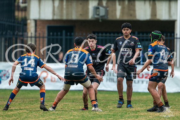 U14(3) R12 v Tigers_15
