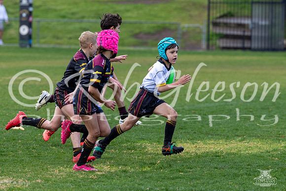 U8(2) R15 v U8(1)_4