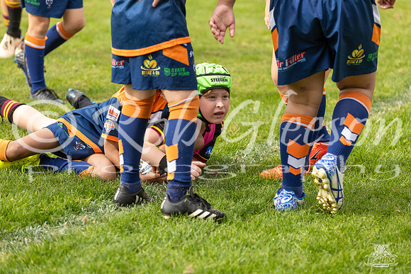 U9(3) - R5 v AST Tigers_12