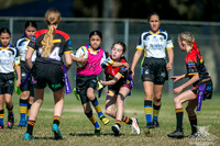 Tag U11(Girls) v Fairfield_040