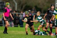 U10(2) R5 v Greystanes_3
