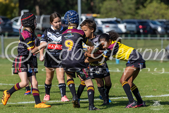 U8(3) R2 v Wenty_1