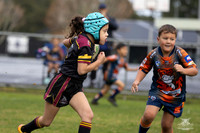 U7(3) R7 v AST Tigers_8