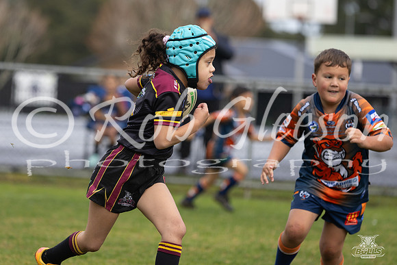 U7(3) R7 v AST Tigers_8