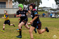 U9(3) R12 v Kellyville_17