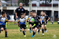 U6(3) R12 v Maulers_5