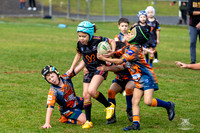 U7(3) R7 v AST Tigers_18