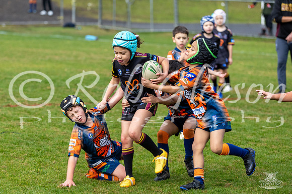 U7(3) R7 v AST Tigers_18