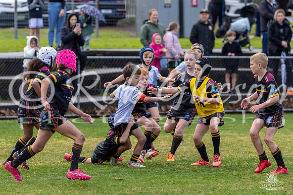 U8(2) R15 v U8(1)_9