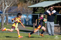 U6(3) R10 v Tigers_8