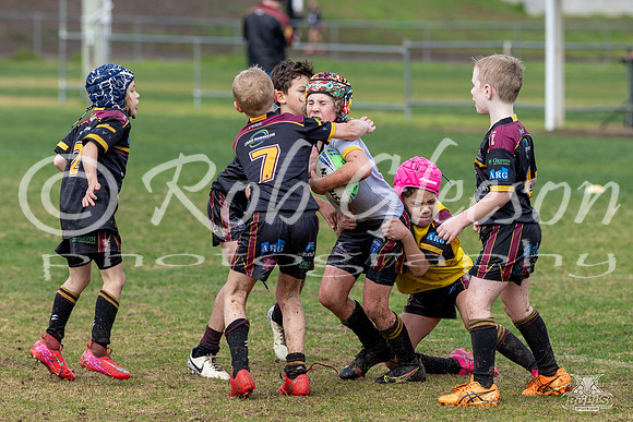 U8(2) R15 v U8(1)_51