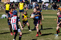 U9(3) R10 v Kellyville_4