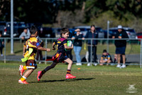 U6(3) R10 v Tigers_14